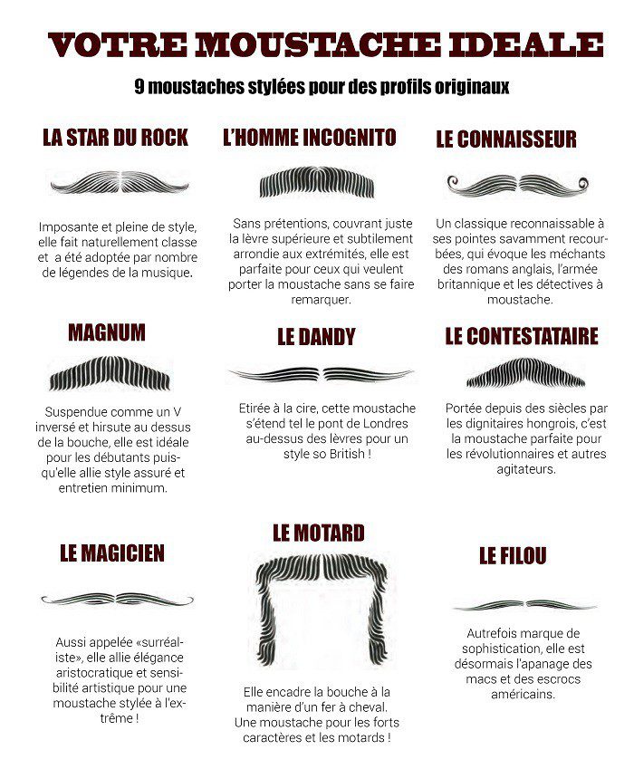 infographie-bien-choisir-type-moustache-movember