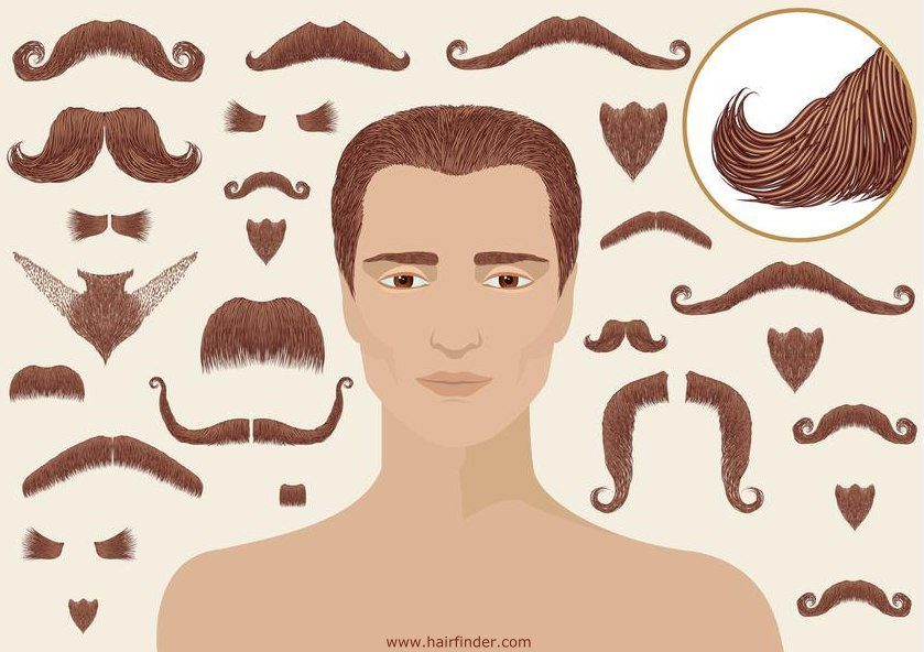 types-bien-choisir-moustache-conseils-movember
