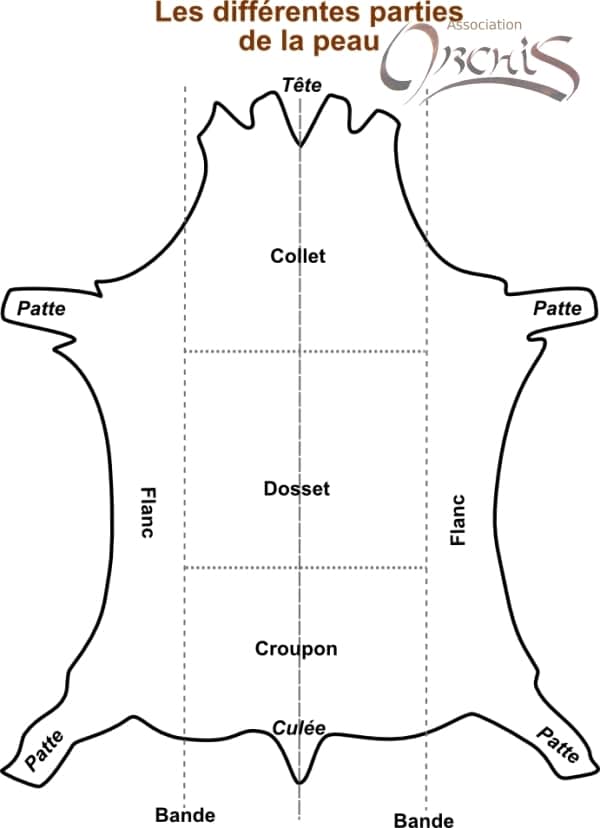 Taurillon leather in dragée color - Guibert Paris